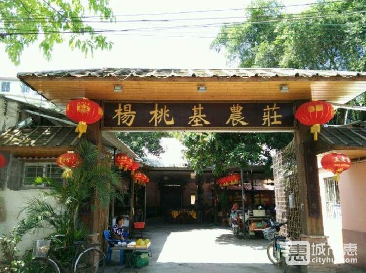 楊桃基農(nóng)莊