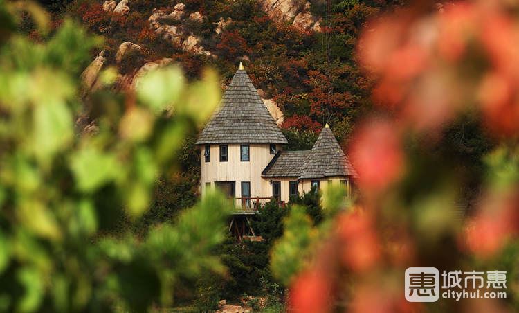 云峰山童話樹(shù)屋