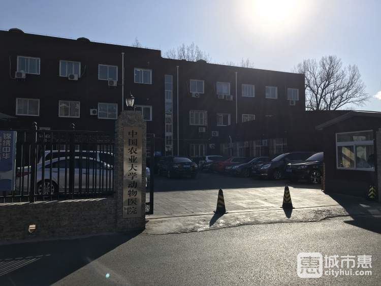 中國(guó)農(nóng)業(yè)大學(xué)動(dòng)物醫(yī)院