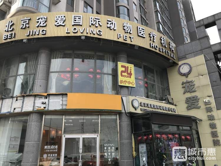 寵愛(ài)國(guó)際動(dòng)物醫(yī)院