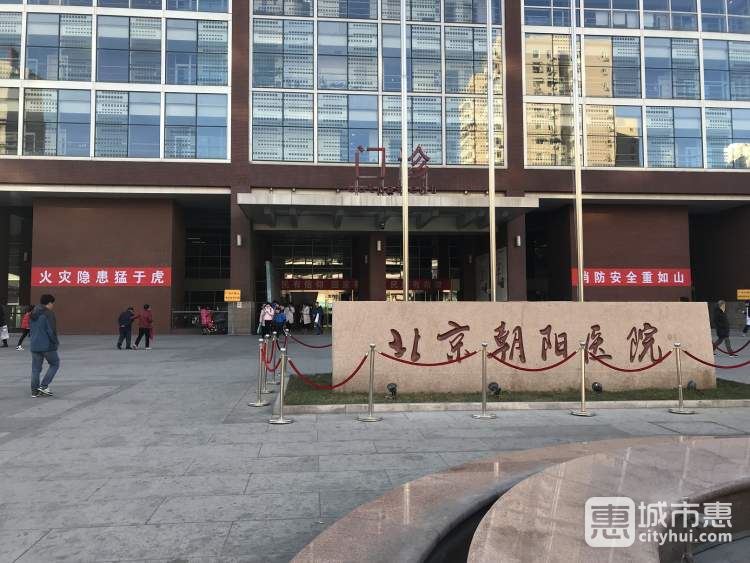 首都醫(yī)科大學附屬北京朝陽醫(yī)院
